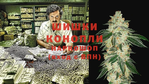 первитин Новодвинск