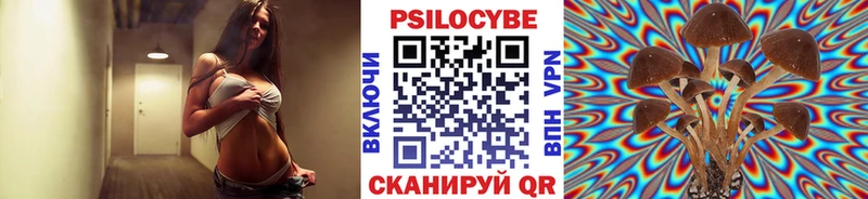 Галлюциногенные грибы прущие грибы  Кадников 